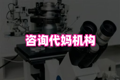 成都助孕网站 1