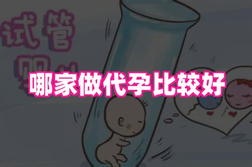 成都助孕网站 4